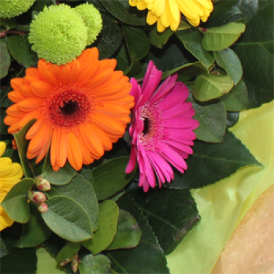 Bright Wrapped Flowers - Let us do your thinking for you.   We wrap up the best quality flowers available for you.