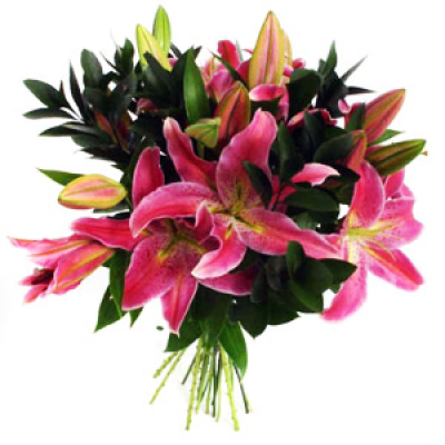 AWESOME ORIENTALS - LONG LASTING LILLIES THAT WILL WOW