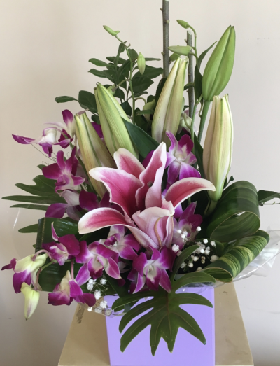 TROPICALLE - BEAUTIFUL FLOWERS DESIGNED IN A BOX CONTAINER.  GREAT FOR DELIVERY TO COAST HOSPITALS.
